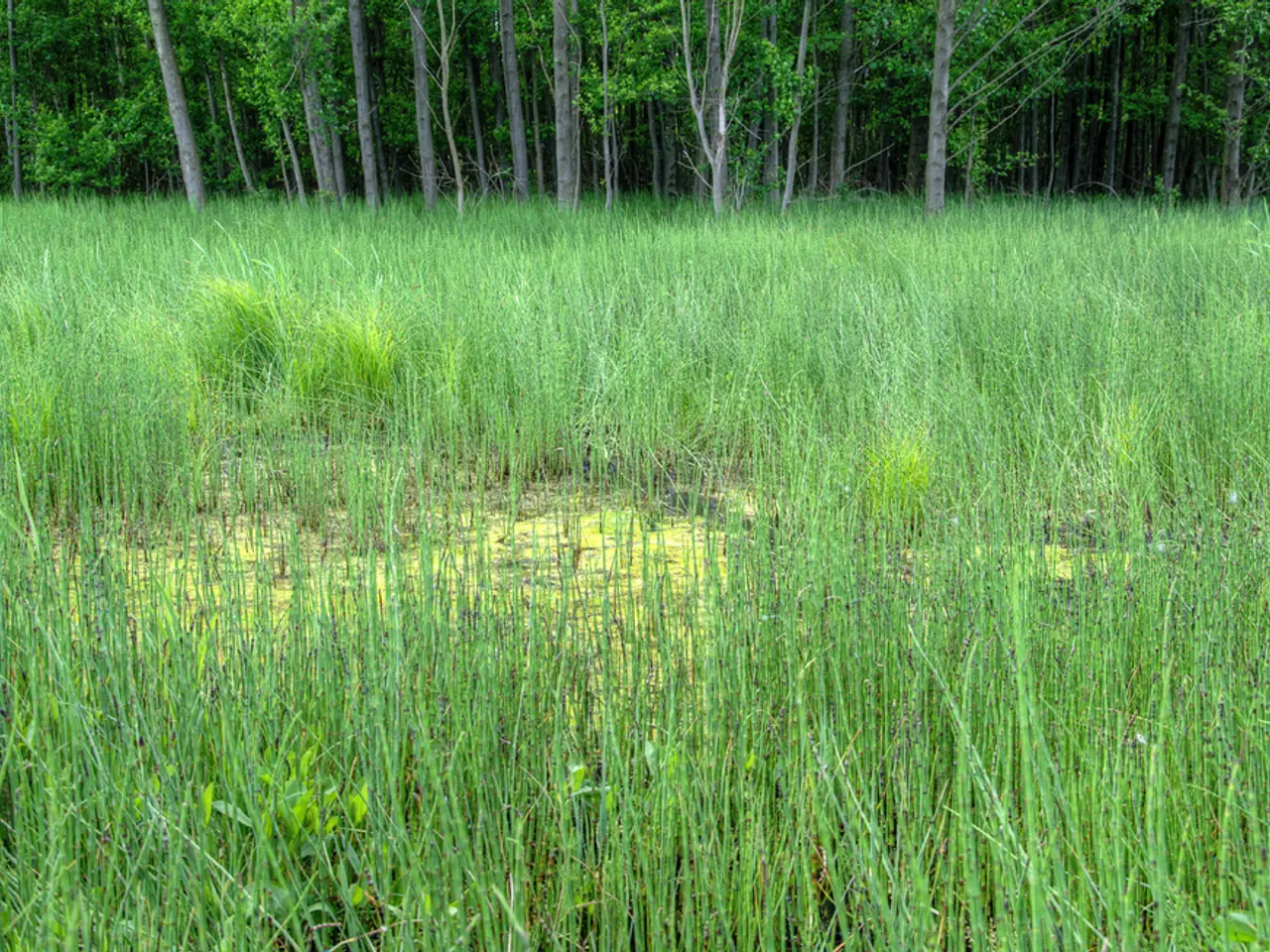 Forest-Based Industry Prospers in Fairfield County