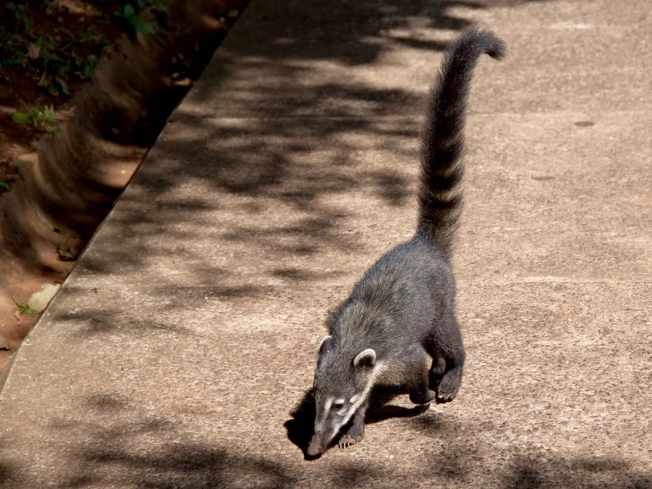 Contamination at Iranian Manufacturing Facility