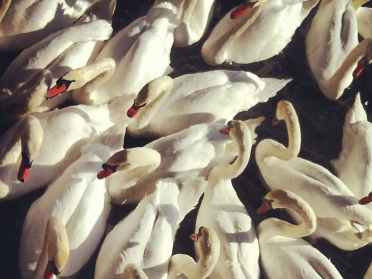 Top mortgage refinance loan providers in the year 2025