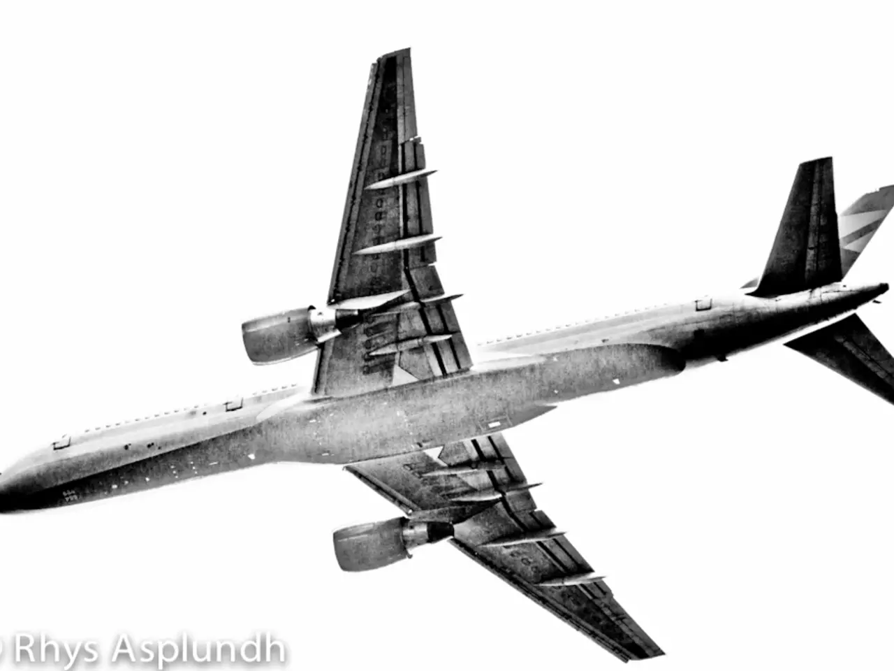 Falcon ceases flighting