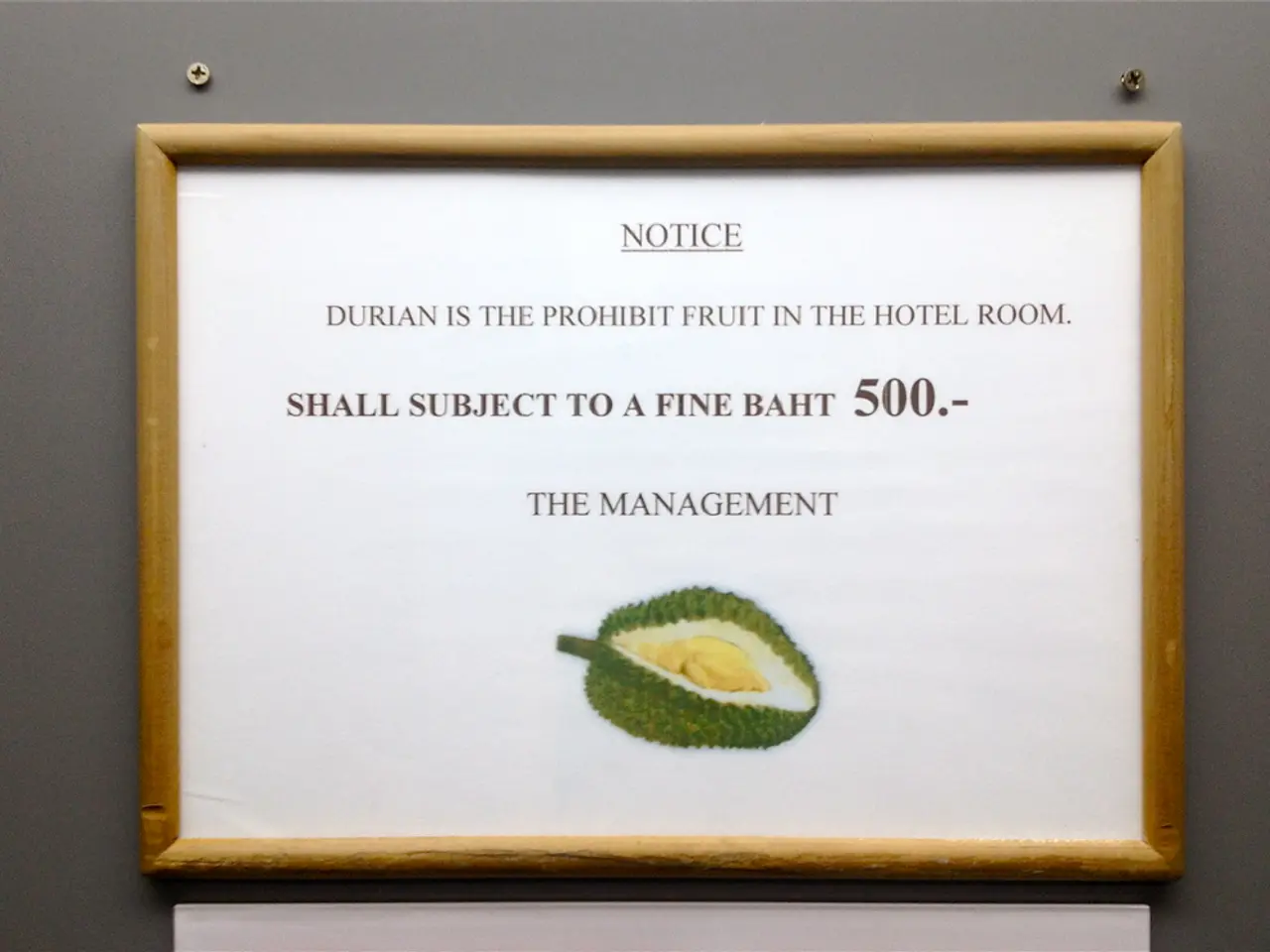 Delta Corp's Financial Year 25 Results: Measuring Up to its Obstacles?