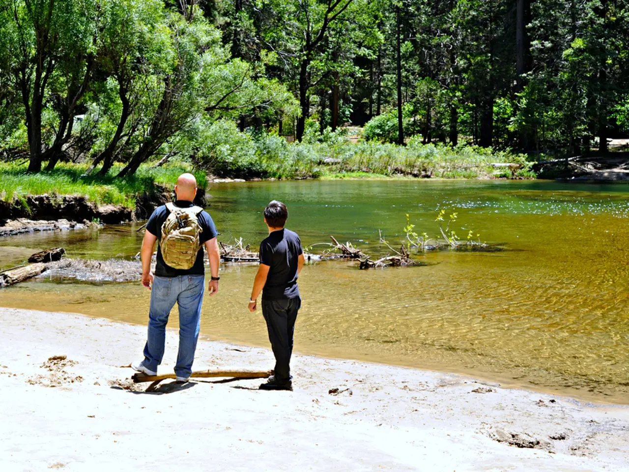 Inquiry on typical annual yield for savings deposits