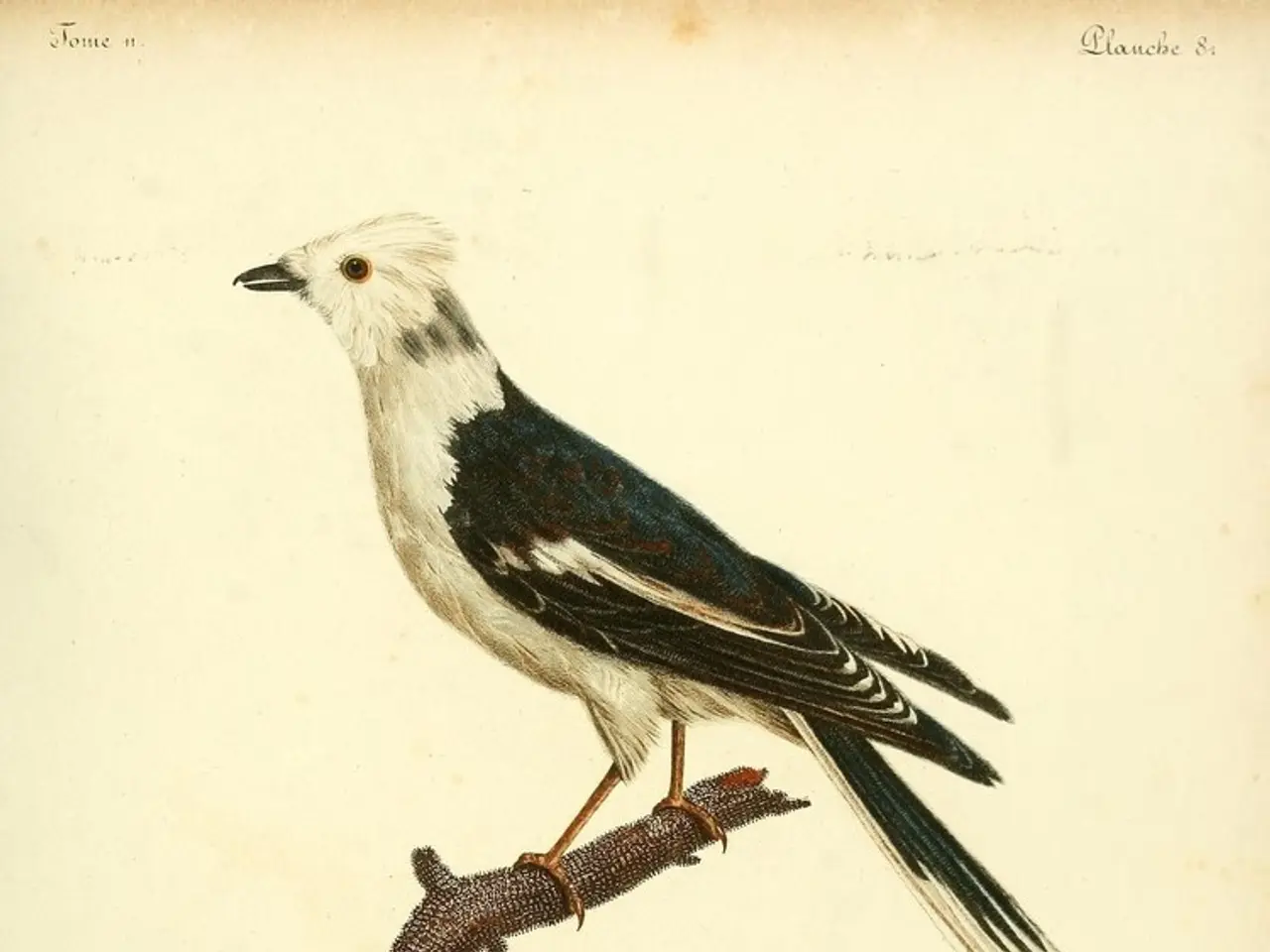 By 2030, the cost of a pint in Britain could skyrocket due to escalating inflation, according to an...