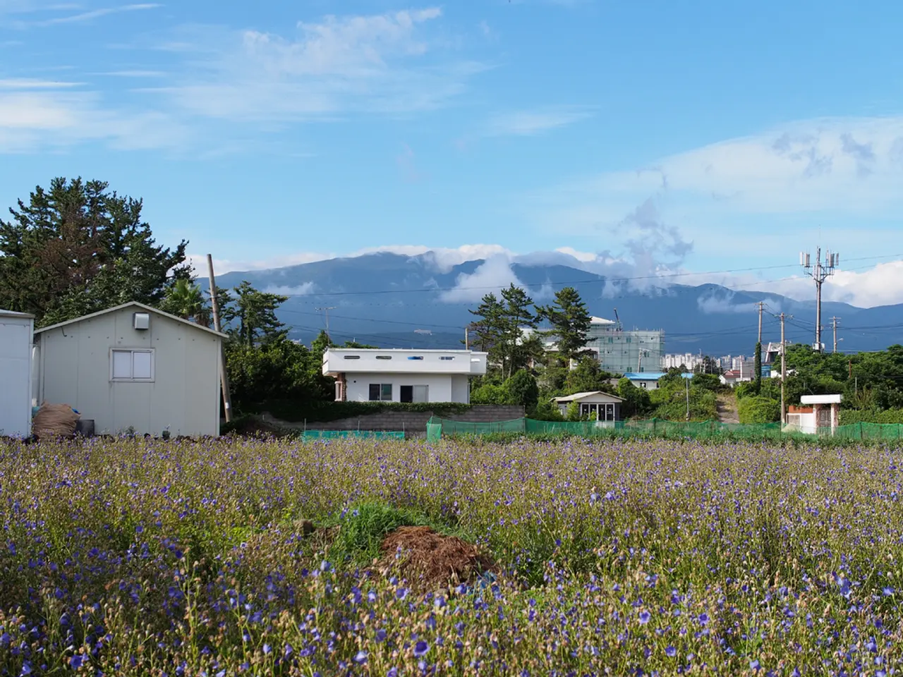 Leading Alternative Energy Businesses Worth Your Investment