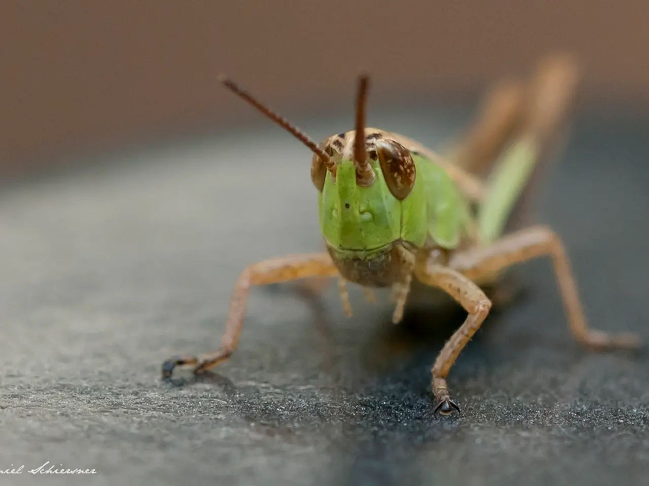 Reminder for Fiserv, Inc. shareholders: Lawsuit deadline approaching on September 22, 2025,...