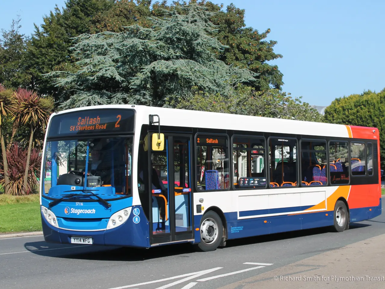 Bus rides scheduled for lines 2, 5, and 15 on Mondays and Tuesdays