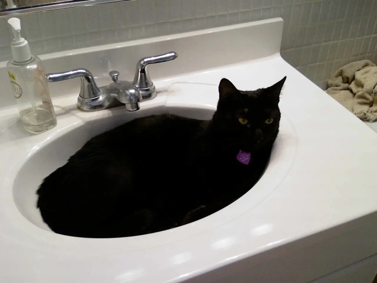 This picture shows a black cat sleeping in the wash basin and we see a hand wash bottle and a cloth...