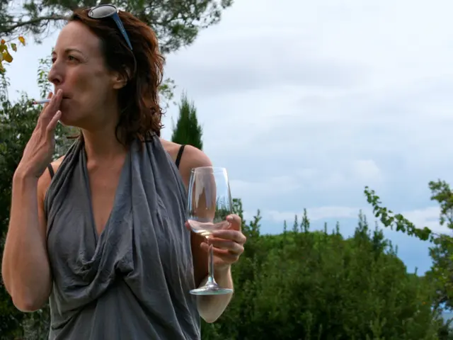 Increase in Tobacco Tax Revenue in the Year 2025