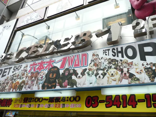 Ethereum's Whale Aggregation Reaches a Six-Year Peak, Anticipating a Potential $4K Surge