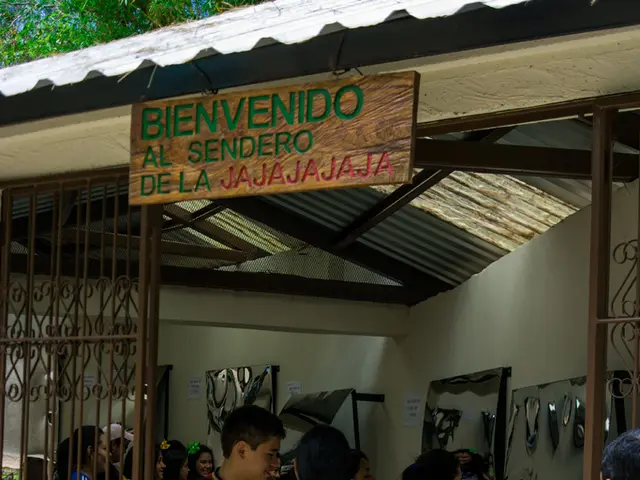 Marketplace users of Wildberries to receive financial services, with personal bank cards issued.