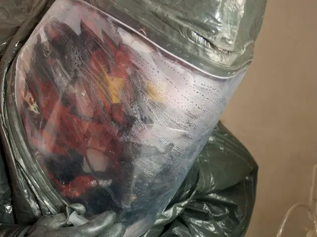 Excludes Chinese Companies from Public Purchases in EU