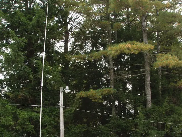 Caravan and Motorhome Owners Given Authorization to Freely Move