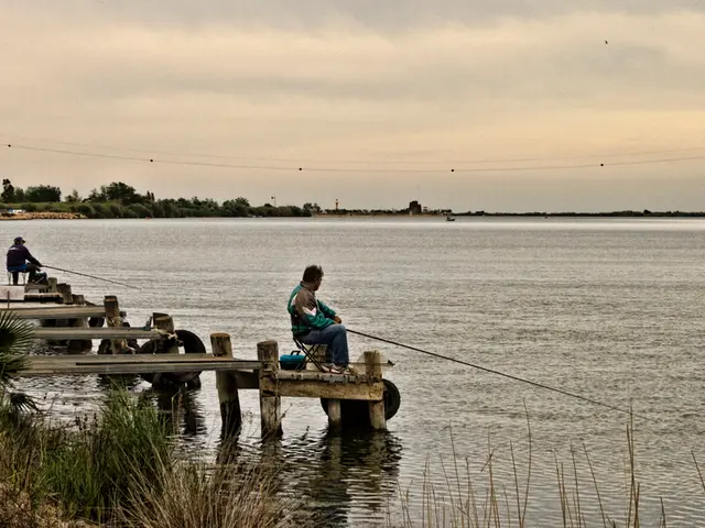 Struggling Marine Life: The Plight of Endangered Fishermen