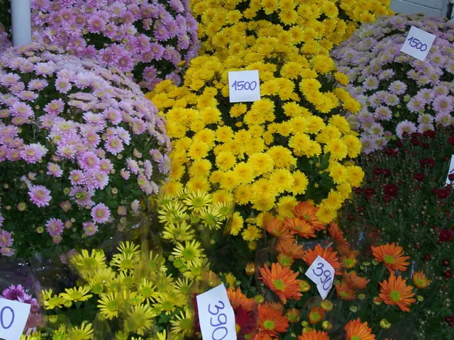 Transfer of Authority over Pricing Matters to Ministry of Trade