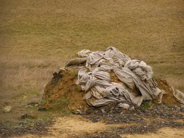 Regulation Transference under Clean Water Act Section 404(g) Granted to Tribes and States