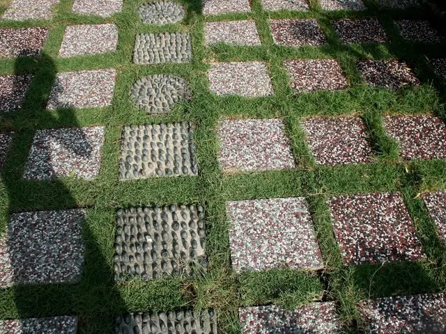 Roads in Germany face heat stress due to climate change, causing asphalt to rupture.