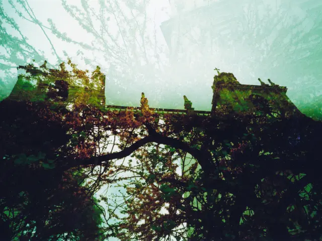 Bridge partial closure in Trier: Konrad-Adenauer structure impacted by damage