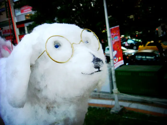 Government-funded financial aid for volunteer and community-based initiatives commences in...