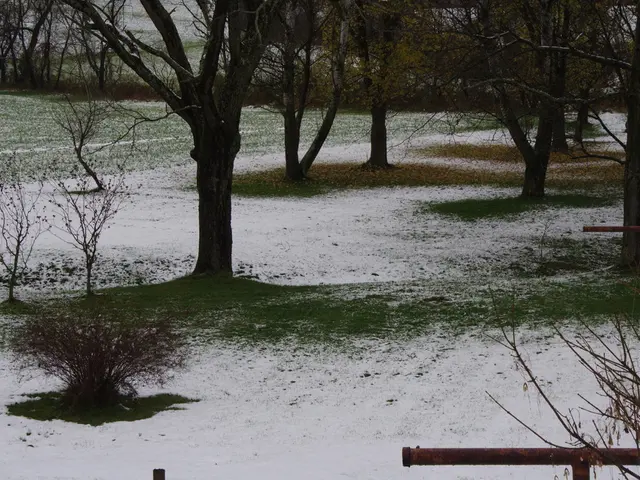 Solar Energy's Peak Moment has Arrived