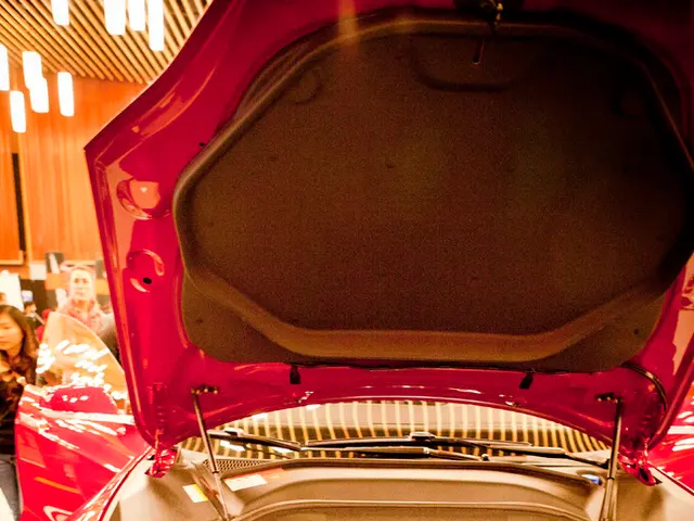 Germany's Dominance in Electric Cars: Accredited to Habeck and Lindner's Efforts?