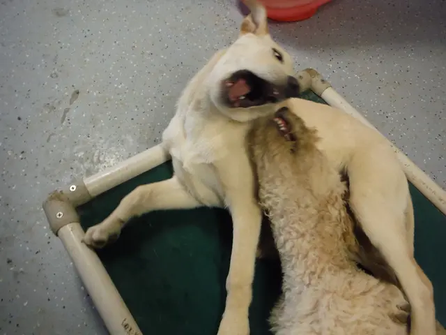 Shifting from petrodollars to petroyuan proposed?