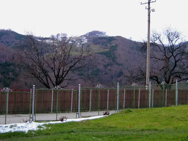 Chronological account and synopsis