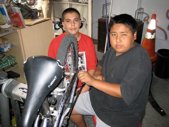 DIY Auto Repairs versus Expert Service at OHS Body Shop: Knowing When to Seek Professional Help