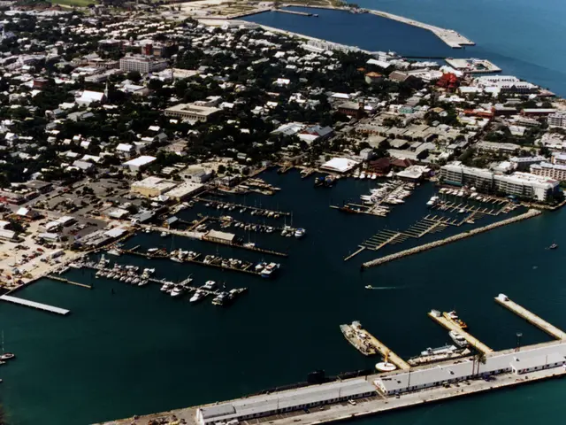 Shipping companies adhering to a temporary halt in Trans-Pacific routes as freight rates experience...