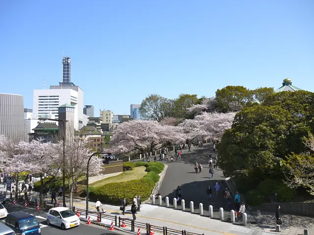 Felsch declares a 100-day transport plan