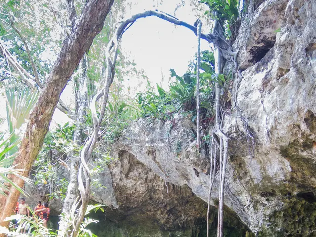 If you're in need of flood insurance, look no further! I, an insurance expert, am here to guide...