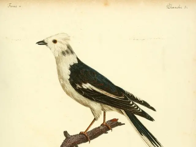 Saving for Retirement: Target Amount by Age 50 and 55