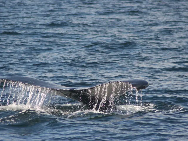 Enigmatic Whale Realizes Staggering 17,000,000% Return on 14-Year-Long Bitcoin Gamble