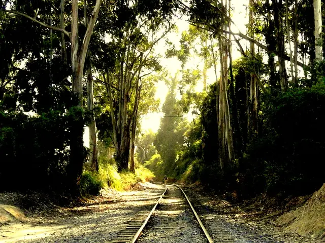 Wanted: Witnesses for Investigation Regarding Gravel on Railway Track Incident