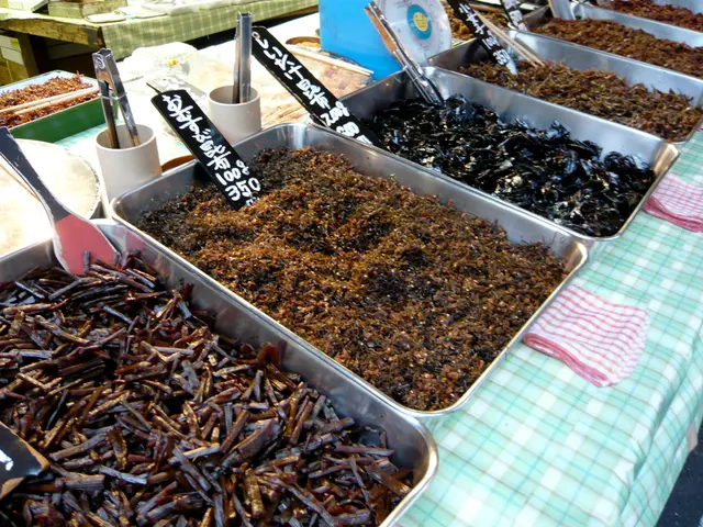 Imports by the United States Decrease Due to Slowing Trade with Tariffs