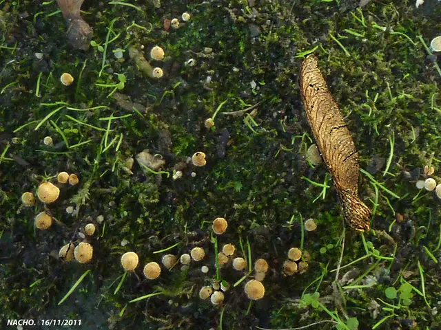 The Significance of Selling Stake in Private Equity in an Ongoing Private Equity Asset Collection