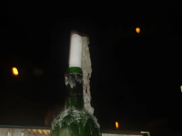 Rapidly expanding Sonic Decentralized Applications: Euler, Stability, and Shadow