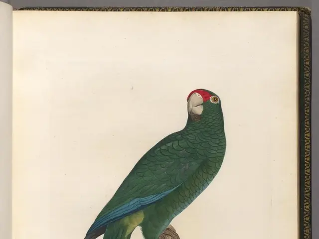 Potential Successors for Warren Buffett's Investing Empire: A Look at Five Potential Candidates