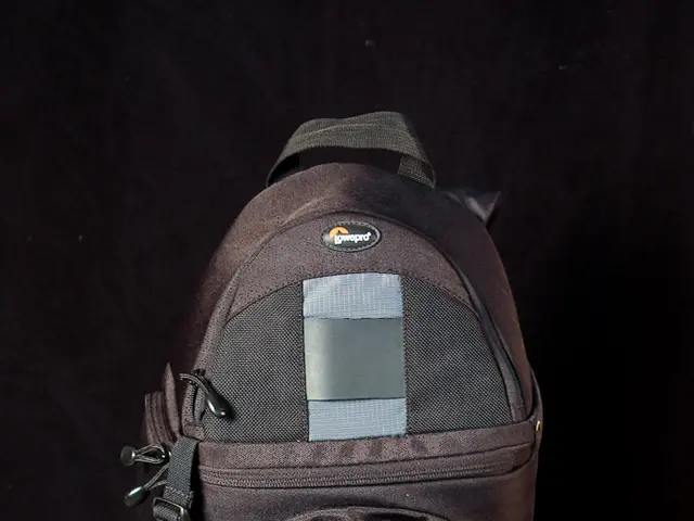 'Hermès CEO expresses displeasure over the appearance of used Birkin bags in the secondary market'