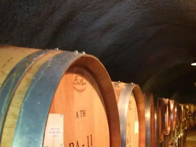 Russia's oil supplies to India continue unabated in spite of warnings from Trump, say insider...