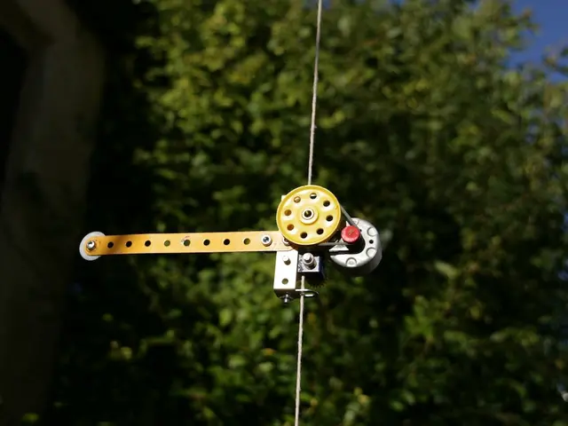 Fintech company, Revolut, expands operations with new Portuguese branch