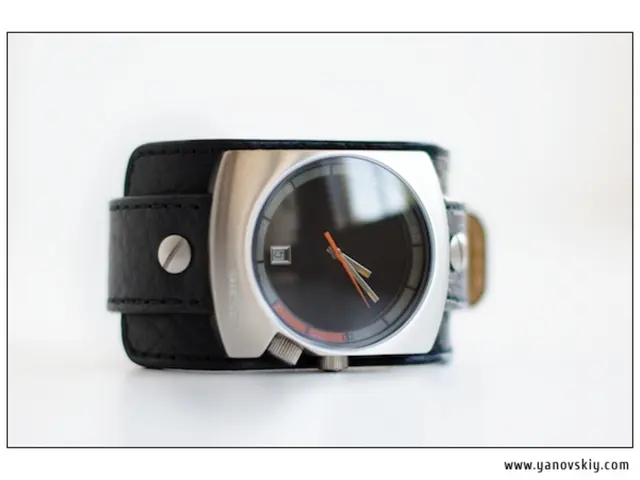 U.S.-Swiss Customs Union Union Prospects Discussed by Swatch Leader