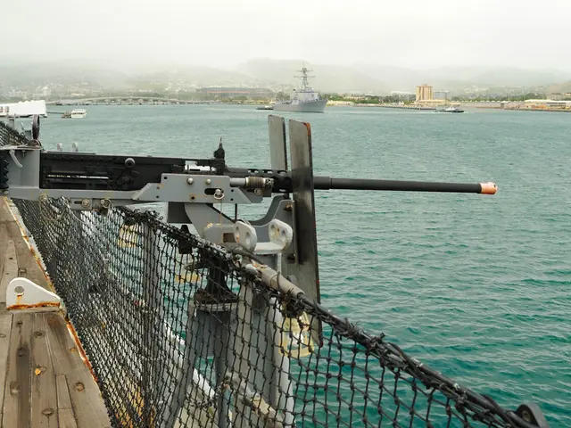 Businessman in Vladivostok penalized with a 75 million ruble fine for dealing in trepang trade