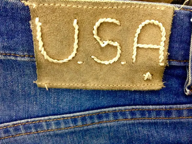 American Eagle's Ascent Explained: Unraveling the Factors Behind Exceptional Growth, Featuring...