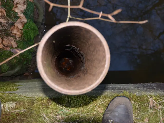 Oil-producing nations contemplate prolonging production cuts as backing gains momentum