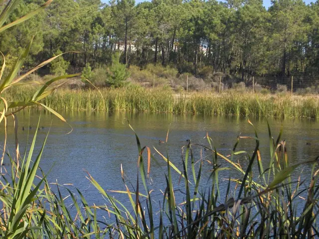 United Kingdom Provides Financial Assistance for Pacific Climate Initiatives