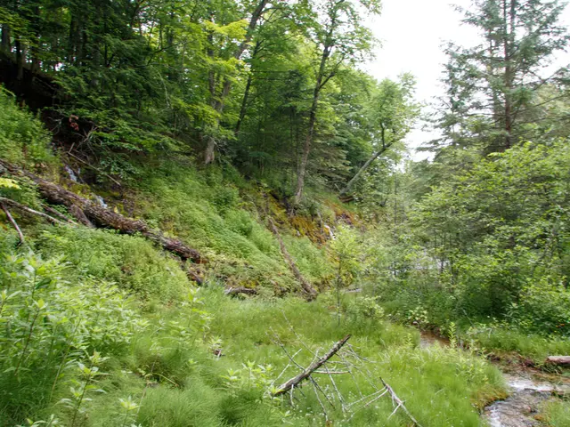 Overconsumption of Earth's resources outpaces Earth's capacity to regenerate