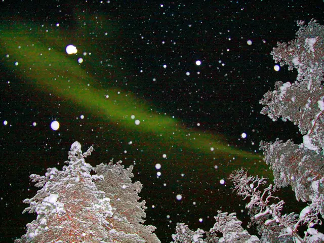 Government-funded workers at Yosemite National Park labored for extended periods without wages...