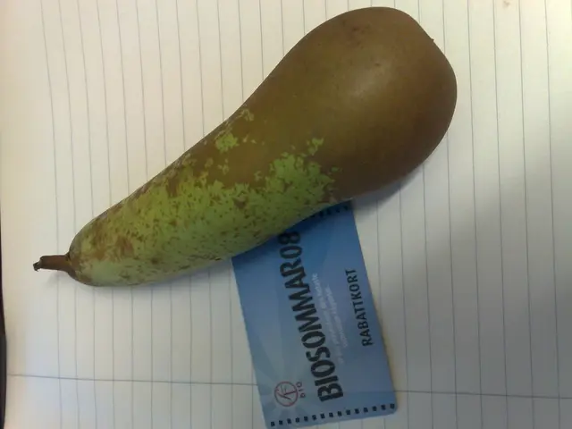 Avoid contributing to my GoFundMe campaign.