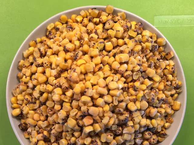 Abundant grain output in South Africa could potentially alleviate apprehensions about food price...