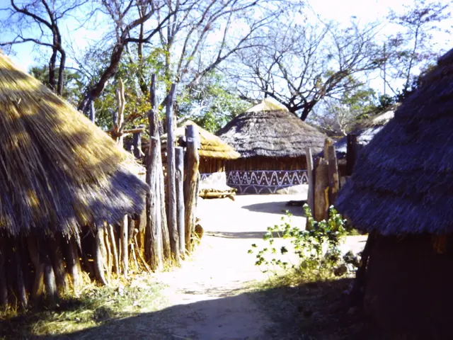 Preserving the woods through electrical means